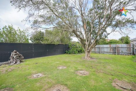 Photo of property in 163 Venus Street, Strathern, Invercargill, 9812