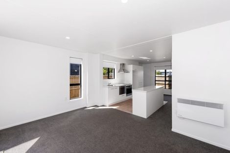 Photo of property in 14/14 Buffon Street, Waltham, Christchurch, 8023
