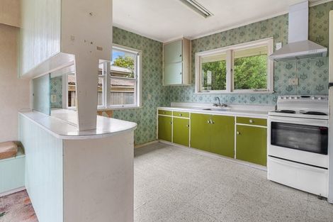 Photo of property in 31 Casper Street, Fairfield, Hamilton, 3214