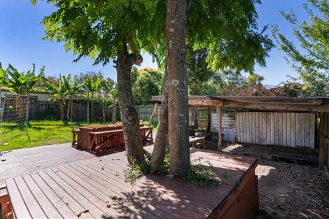 Photo of property in 81 Onewa Road, Northcote, Auckland, 0627