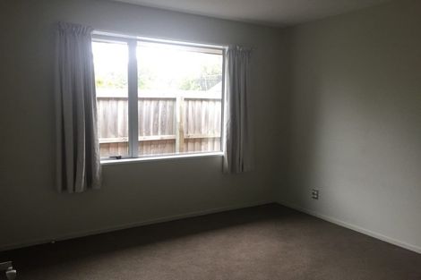 Photo of property in 17 Blowers Place, Halswell, Christchurch, 8025