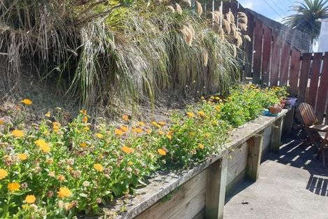 Photo of property in 3a Boyd Terrace, Newtown, Wellington, 6021