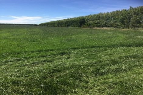 Photo of property in 80 Mount Hutt Station Road, Methven, 7782