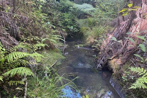 Photo of property in 1329 Hibiscus Coast Highway, Puhoi, Warkworth, 0994