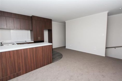 Photo of property in 18u7 Hunter Street, Hamilton Lake, Hamilton, 3204
