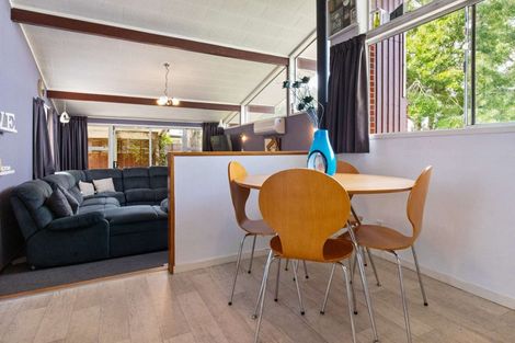 Photo of property in 58 Pandora Avenue, Sunnybrook, Rotorua, 3015