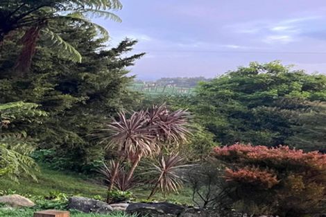Photo of property in 1314 Wairamarama Onewhero Road, Onewhero, Tuakau, 2697