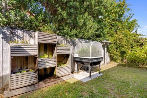 Photo of property in 157 Pauanui Boulevard, Pauanui, Hikuai, 3579