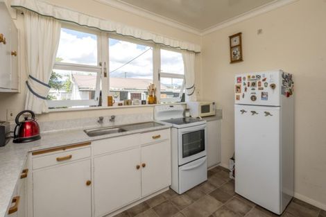 Photo of property in 182 Tiro Tiro Road, Levin, 5510