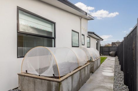 Photo of property in 69 Farthing Drive, Prebbleton, 7604