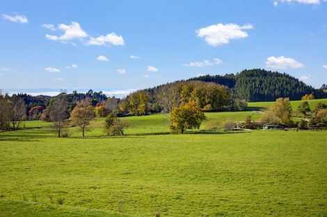Photo of property in 193a Omokoroa Road, Omokoroa, 3114