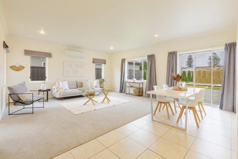 Photo of property in 117 Hunter Drive, Awatoto, Napier, 4110