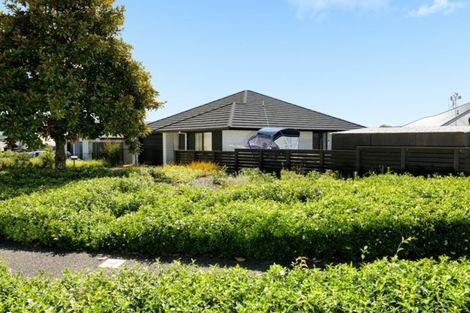 Photo of property in 112 Kennedy Road, Pyes Pa, Tauranga, 3112