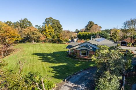 Photo of property in 45 Holdsworth Road, Homebush, Masterton, 5810