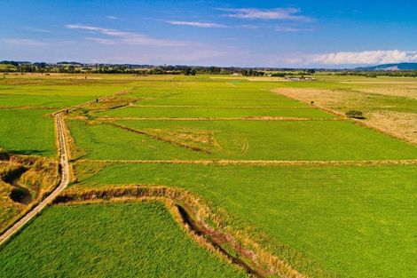 Photo of property in 134 Waikawa Beach Road, Manakau, Levin, 5573