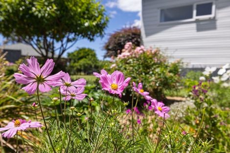 Photo of property in 272b Plummers Point Road, Whakamarama, Tauranga, 3172