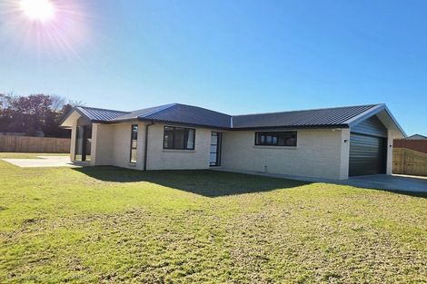 Photo of property in 9 Reeve Street, Foxton, 4814