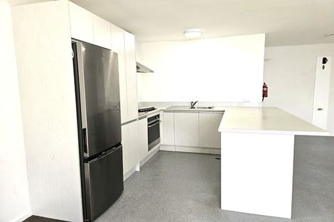Photo of property in Te Awhina Apartments, 9/22 Sussex Street, Mount Cook, Wellington, 6021