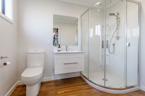 Photo of property in 12 Nelson Street, Woodville, 4997