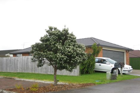 Photo of property in 11 Les Marston Place, Pukekohe, 2120