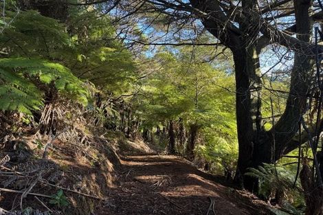 Photo of property in 211 Krippner Road, Puhoi, Warkworth, 0994