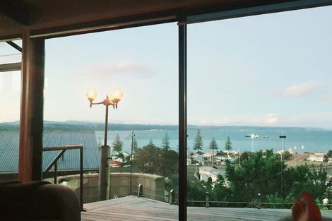 Photo of property in 15 Milton Terrace, Hospital Hill, Napier, 4110