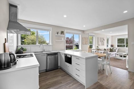 Photo of property in 36 Condell Avenue, Papanui, Christchurch, 8053