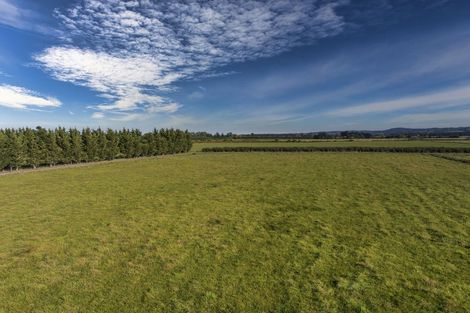 Photo of property in 77 Bruces Road, Sefton, Rangiora, 7477
