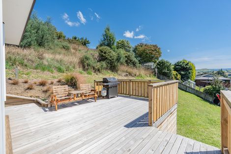 Photo of property in 12 Goodwin Street, Waihola, Milton, 9073