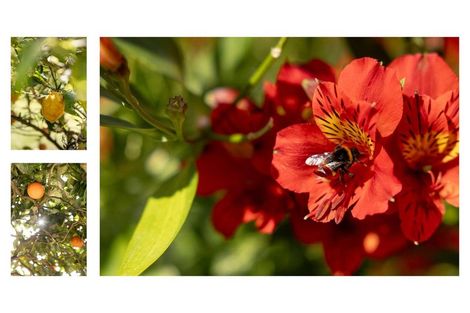 Photo of property in 39 Westwood Street, Bellevue, Tauranga, 3110