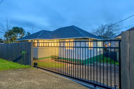 Photo of property in 61 Pomaria Road, Henderson, Auckland, 0610