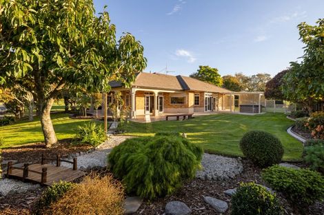 Photo of property in 16r Elder Lane, Bethlehem, Tauranga, 3110
