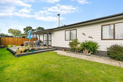 Photo of property in 131b Eversham Road, Mount Maunganui, 3116