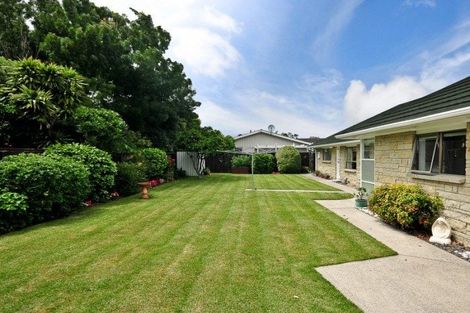 Photo of property in 3 Mcmeekan Avenue, Chartwell, Hamilton, 3210