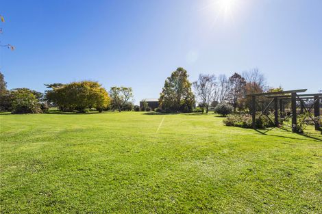 Photo of property in 208 Livingstone Road, Te Poi, Matamata, 3473