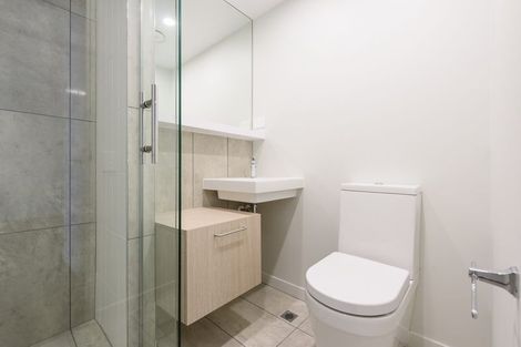 Photo of property in Vsp Southern Tower, 204/168u Victoria Street, Te Aro, Wellington, 6011