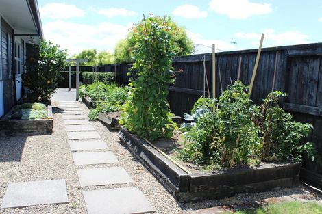 Photo of property in 10a Madison Street, Cambridge, 3434