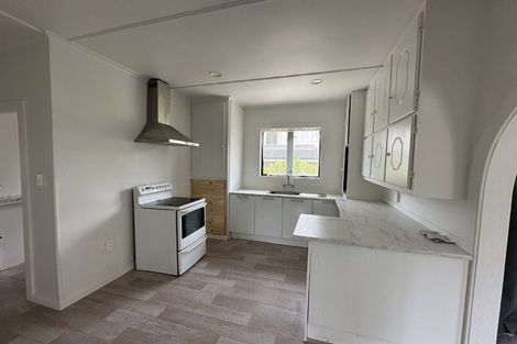 Photo of property in 88 Nikau Street, New Lynn, Auckland, 0600