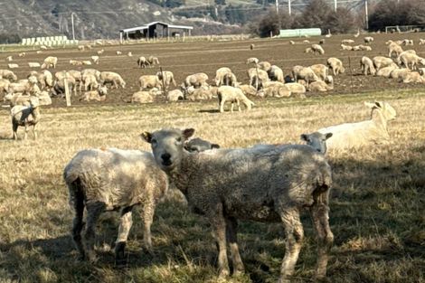 Photo of property in 23a Hythe Street, Athol, 9793