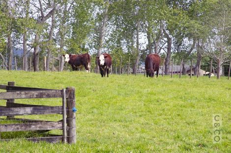 Photo of property in 832 Old North Road, Waimauku, 0882