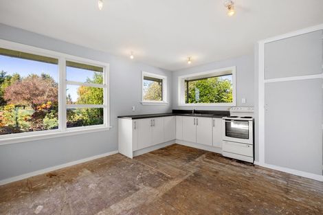 Photo of property in 154 Neeves Road, Kaiapoi, 7691