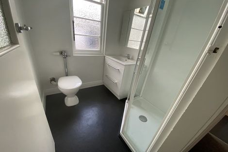 Photo of property in Norton Flats, 302u1 Willis Street, Aro Valley, Wellington, 6011