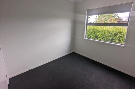 Photo of property in 43 Capper Crescent, Chartwell, Hamilton, 3210