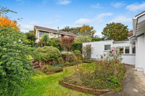 Photo of property in 13 Lune Street, South Hill, Oamaru, 9400