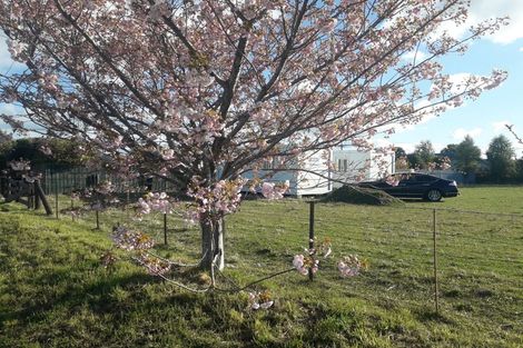 Photo of property in 11 Innes Street, Glenavy, Waimate, 7980