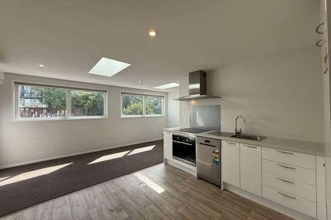 Photo of property in 100 Aro Street, Aro Valley, Wellington, 6021