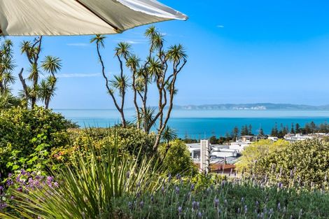 Photo of property in 14 Corry Avenue, Bluff Hill, Napier, 4110