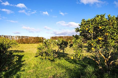 Photo of property in 577a Whareora Road, Whareora, Whangarei, 0175