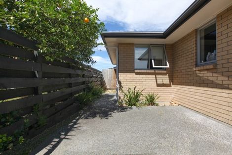 Photo of property in 48u1 Fifth Avenue, Enderley, Hamilton, 3214