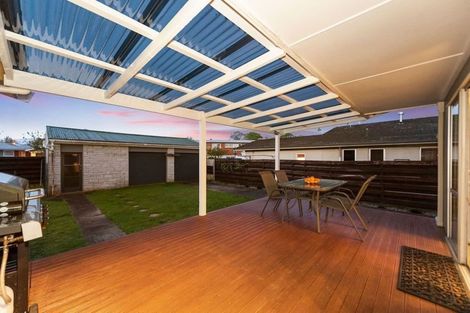 Photo of property in 21 Wake Street, Chartwell, Hamilton, 3210